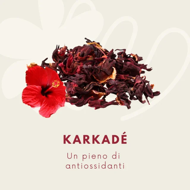 Karkadè: la bevanda antiossidante che non ti aspetti! 🌺Sapevi che questa bevanda dal colore rosso intenso e dal sapore acidulo è un vero toccasana per la salute?Ricca di antiossidanti, vitamine e sali minerali, il karkadè offre numerosi benefici per l'organismo, tra cui:Azione diuretica e depurativa Proprietà antinfiammatorie Benefici per la circolazione Aiuto nella digestioneScopri di più sul mio blog, dove troverai anche informazioni sulle controindicazioni e la preparazione del karkadè.Leggi l'articolo completo sul mio sito www.dalilamiceli.it#karkadè #antiossidanti #benessere #salute #tisane #nutrizione