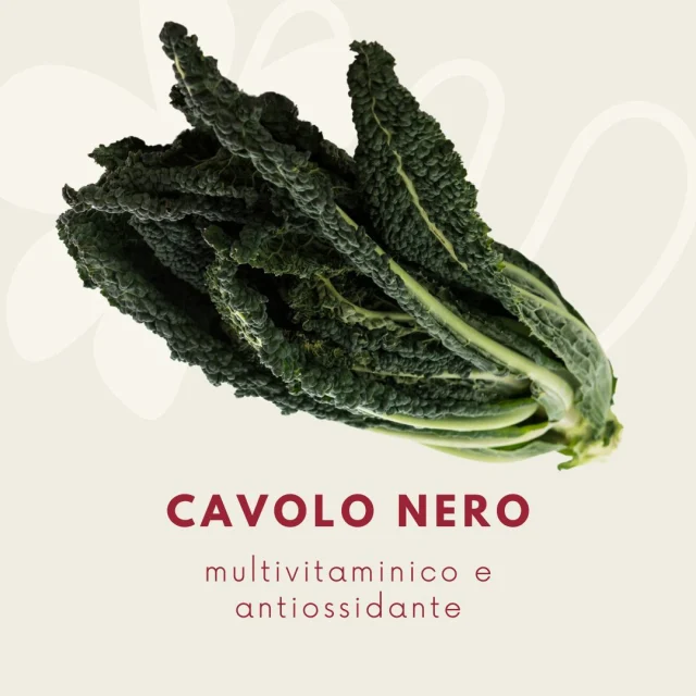 Cavolo nero: il superfood italiano che non ti aspetti! 🥬🇮🇹Sai che il cavolo nero è un concentrato di vitamine, minerali e antiossidanti, con incredibili benefici per la salute? E che puoi gustarlo in tanti modi diversi, dalla classica ribollita toscana a ricette più creative?Nel mio ultimo articolo, ti svelo tutte le proprietà del cavolo nero e come cucinarlo al meglio per preservarne i nutrienti.Scopri di più su questo superfood "made in Italy", visita il mio sito: www.dalilamiceli.it/cavolo-nero/#cavolonero #kale #superfood #salute #benessere #ricette #nutrizione